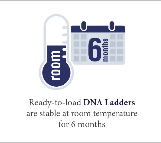 [thermometer and calendar icon] Ready-to-load DNA ladders are stable at room temperature for 6 months
