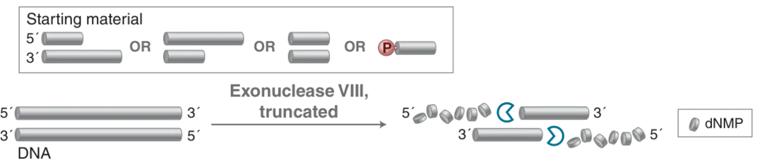 Diagram of mechanism