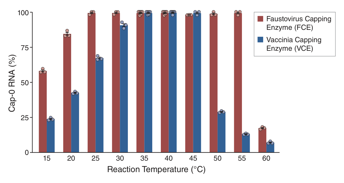 Bar graph comparing Cap-0 RNA percentage for Faustovirus capping enzyme – FCE – to Vaccina Capping Enzyme – VCE at various temperatures