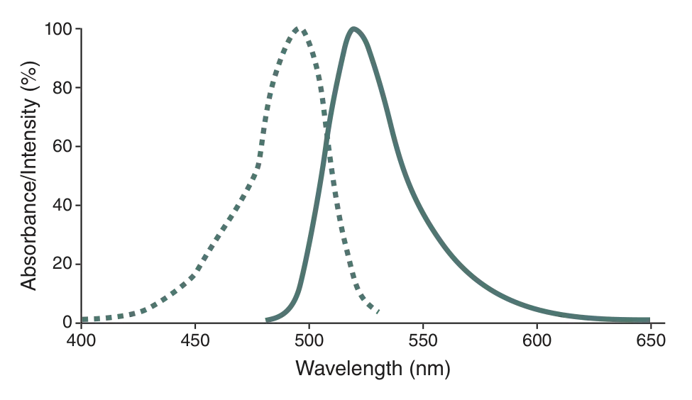 SNAP-Surface® Alexa Fluor® 488 excitation and emission spectra