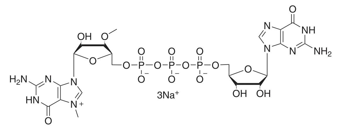 Structure of 3´-O-Me-m7G(5')ppp(5')G RNA Cap Structure Analog