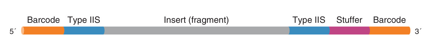 Fragment design for gene synthesis workflow using computation in silico, followed by gene construction