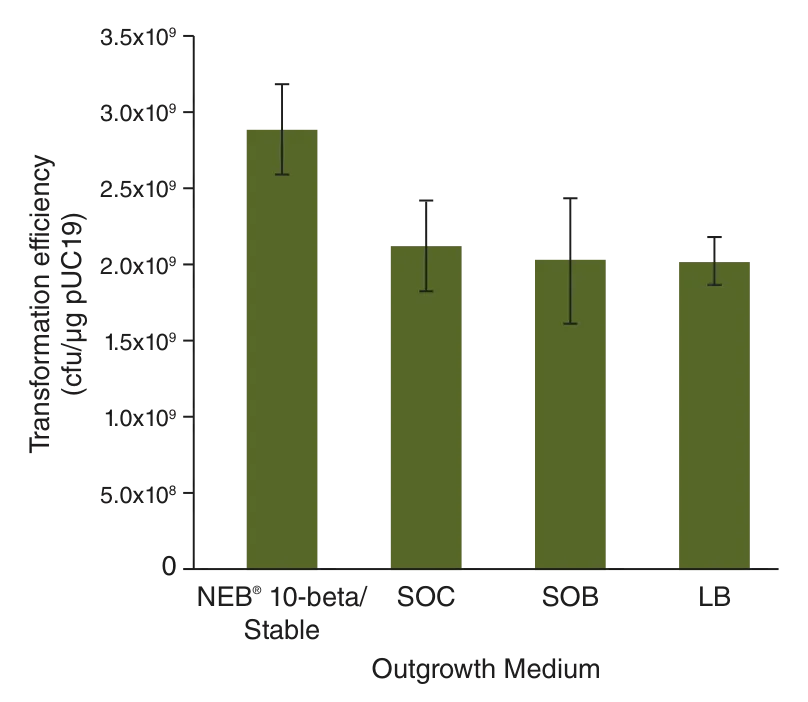 Bar graph showing transformation efficiency for various outgrowth media