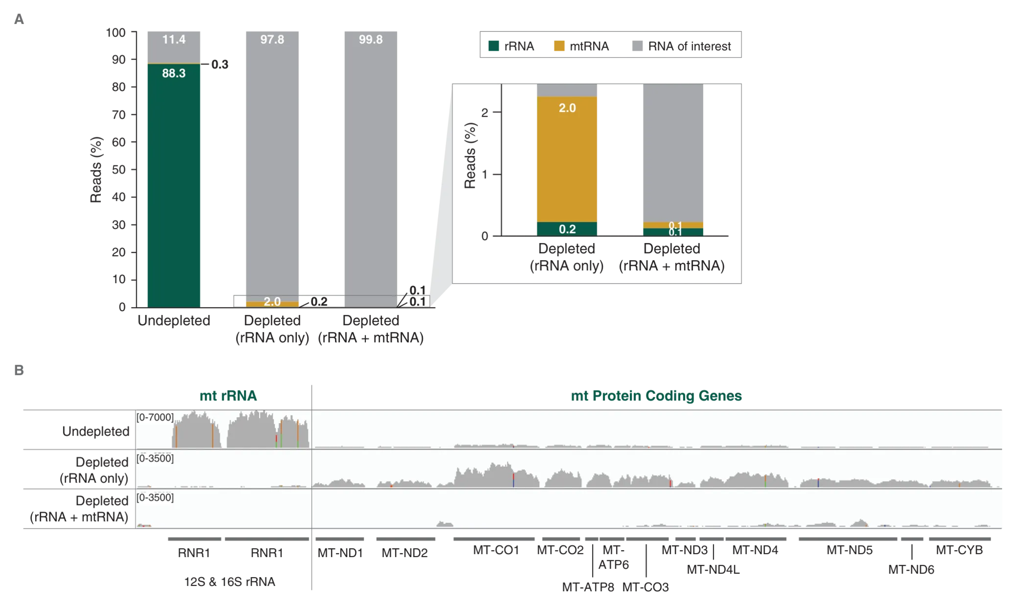Graphs and coverage plots depicting combined probe pool human rRNA and mitochondrial mRNA depletion efficiency