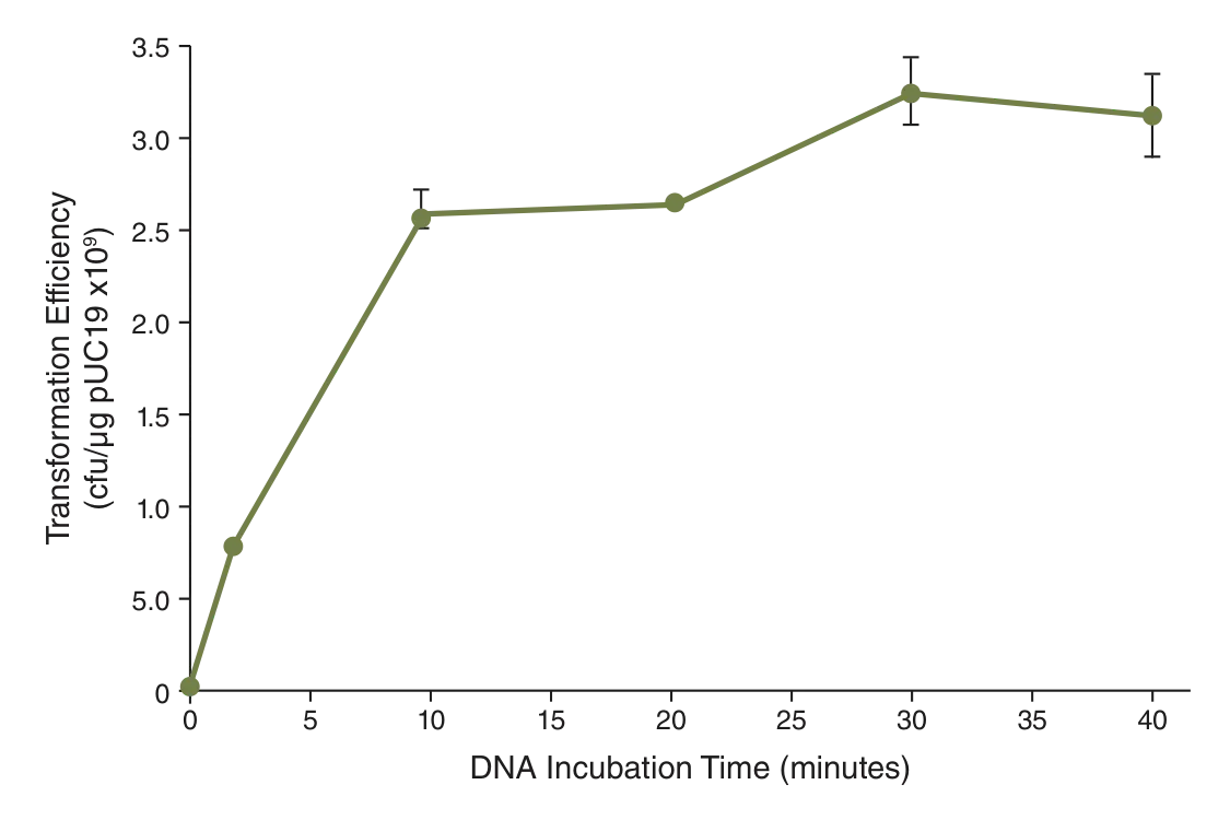 Line graph showing transformation efficiency versus DNA incubation time