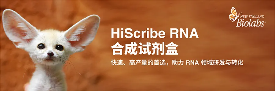 2026 新春启航，NEB 中国 25 周年“科研四季献礼” 春季篇正式开启！