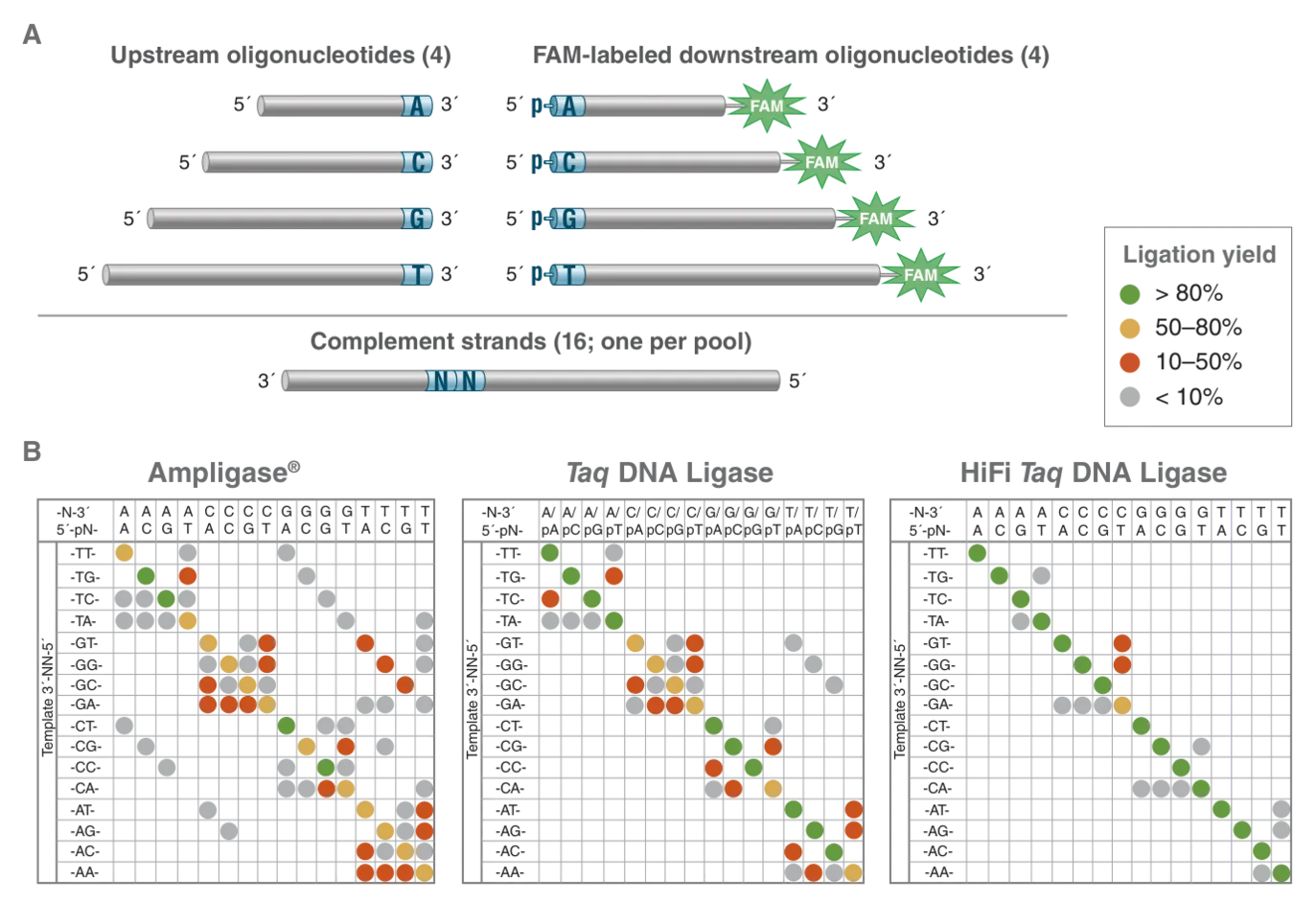 Diagram of multiplexed substrate pools and ligase fidelity matrices for various ligases