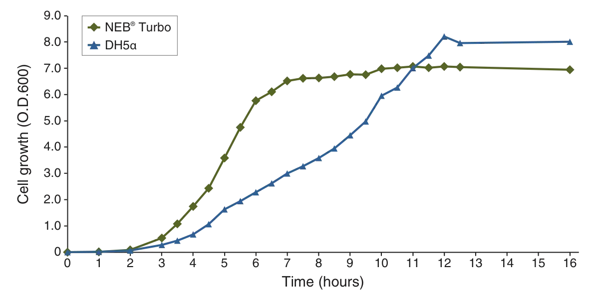 NEB® Turbo growth curve