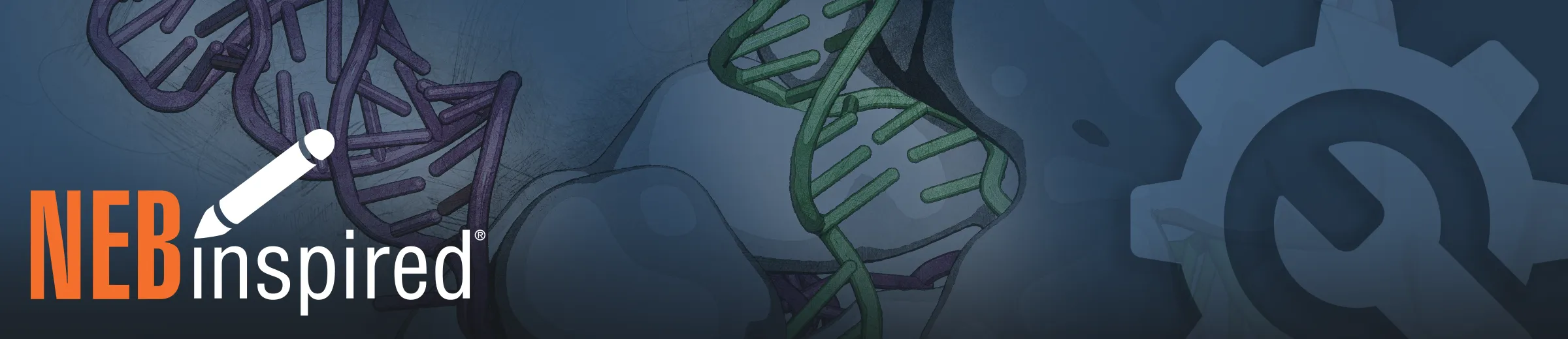Closeup of CRISPR-Cas9 complex and cog icon, with NEBinspired logo