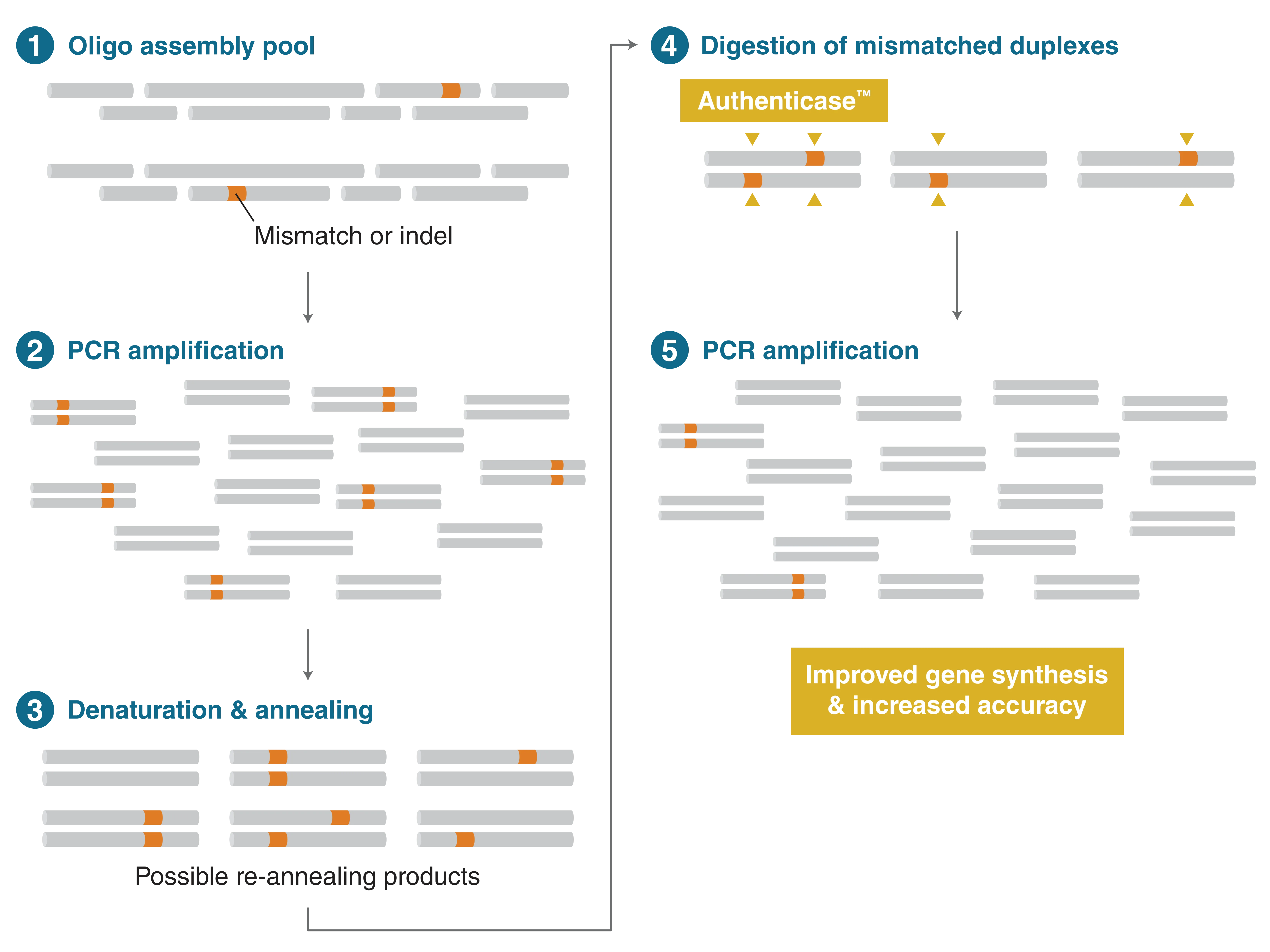 Error correction workflow using Authenticase