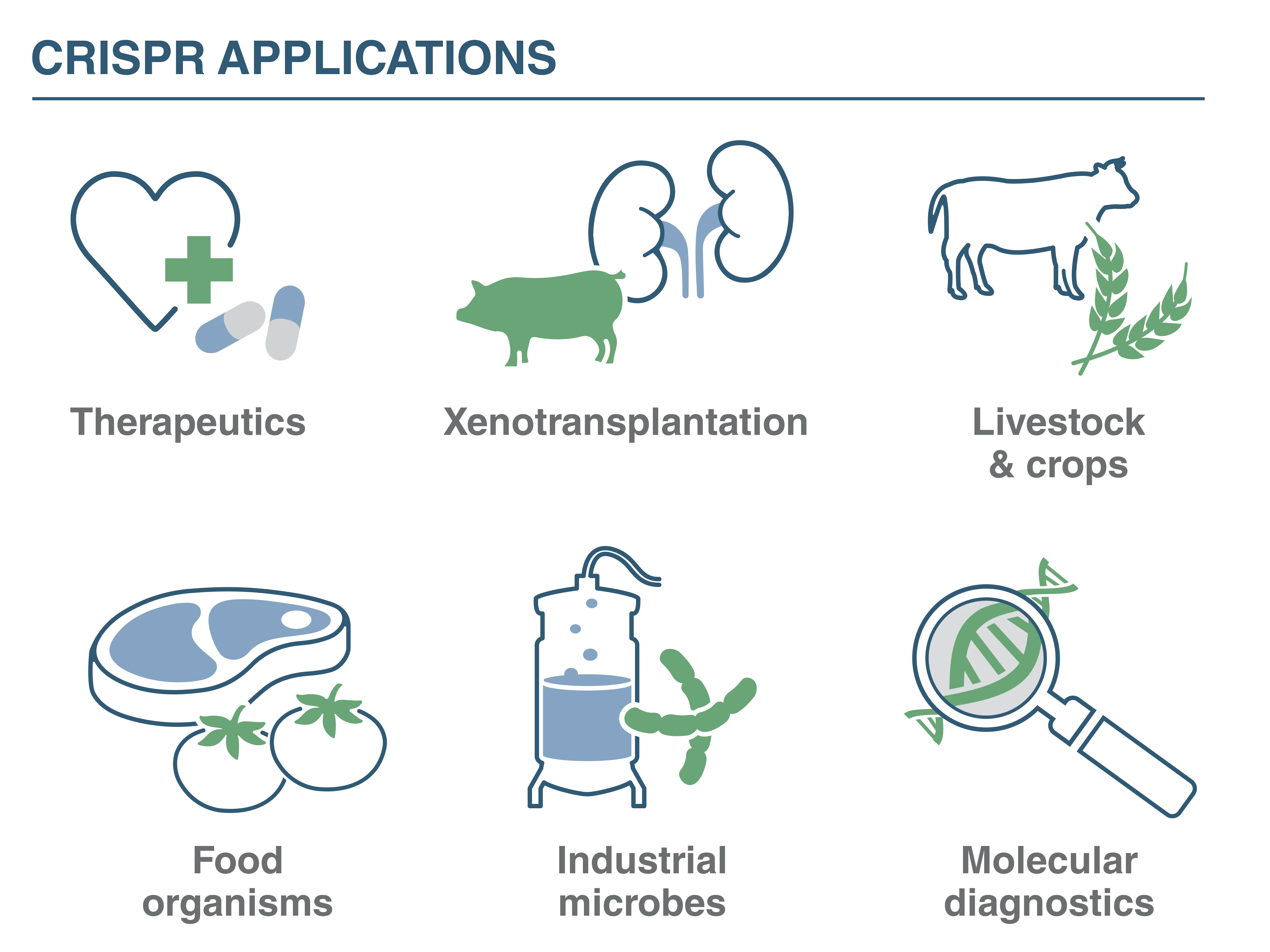 Illustration of CRISPR applications