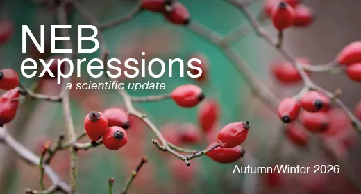 DE_EU NEBExpression Autumn2026
520x280