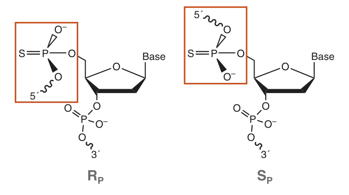 Diagram of phosphorothioate bonds