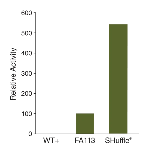 Bar graph comparin vtPA activity for various strains