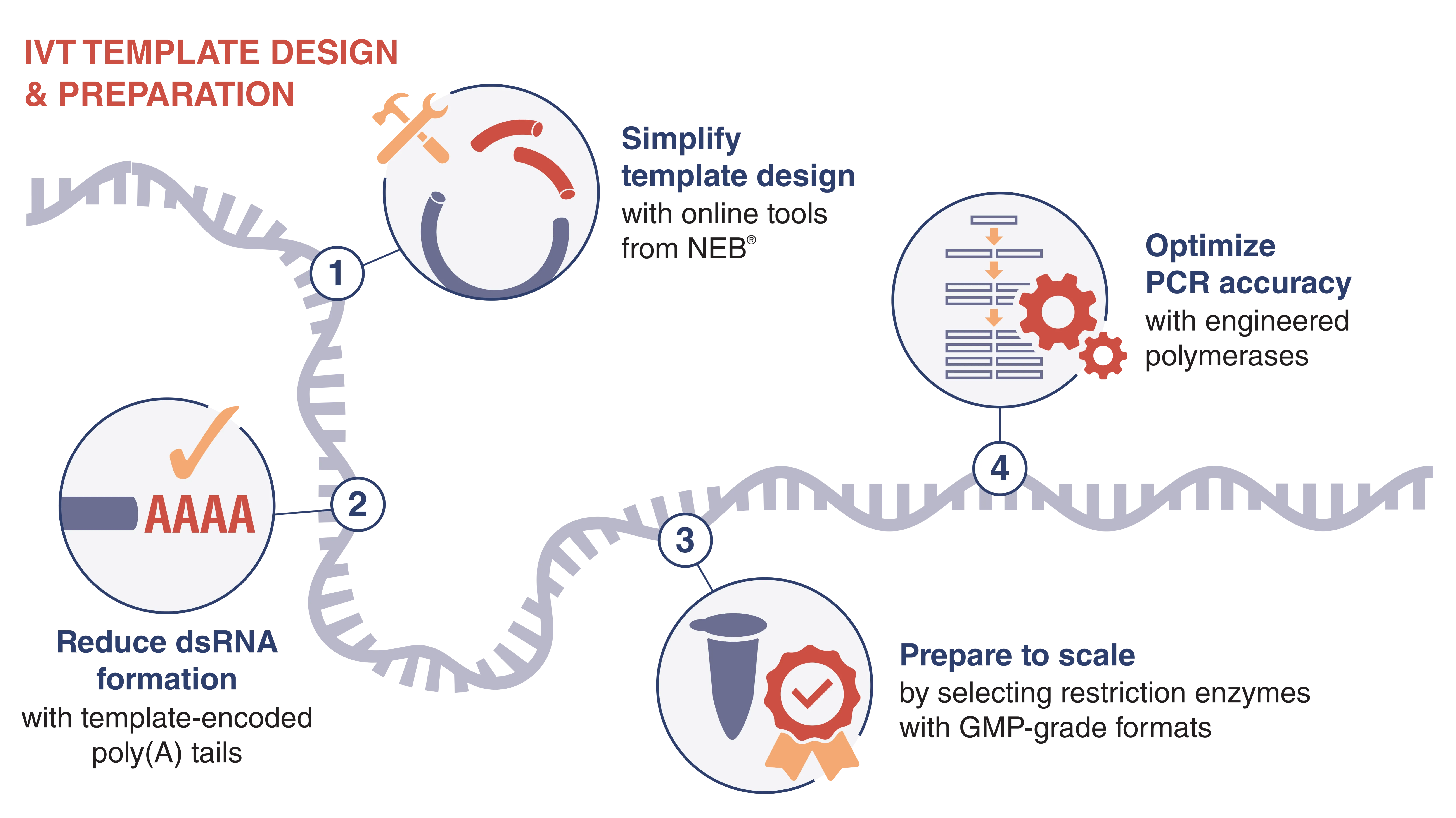 Infographic of template design opportunities