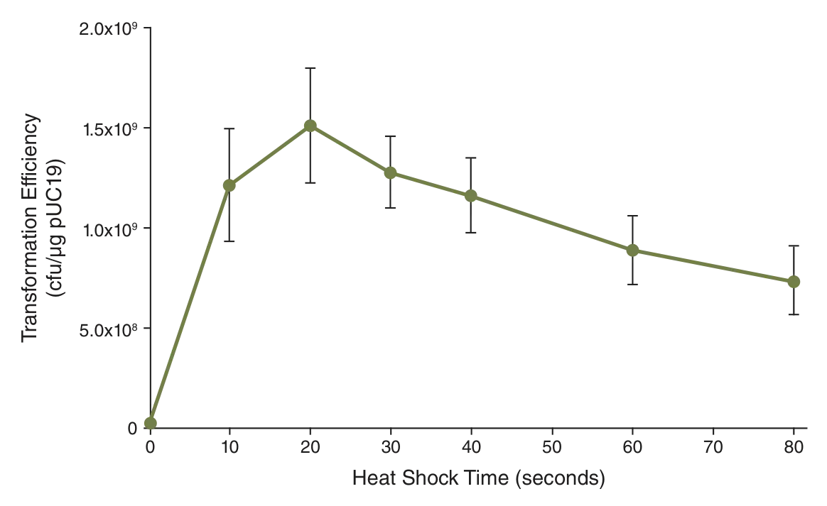 Line graph depicting effect of heat shock time on transformation efficiency