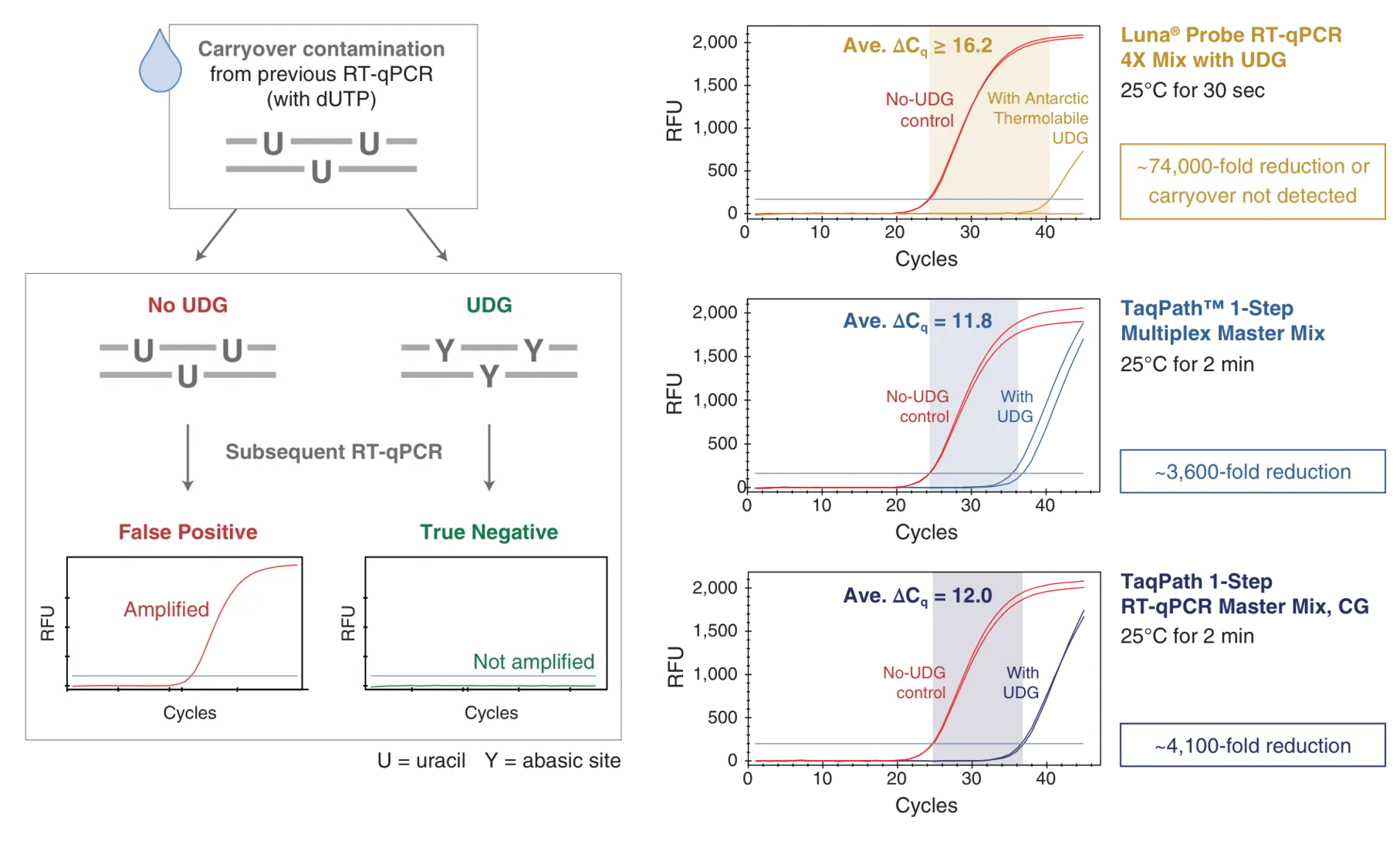 Diagram of carryover prevention, with or without UDG, and Luna® Probe RT-qPCR 4X mix with UDG comparison to two TaqPath™ mixes