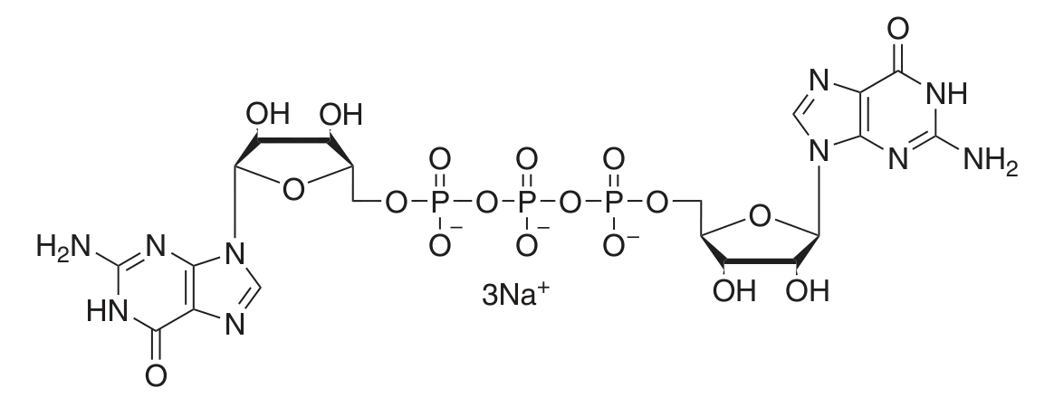 Structure of G(5')ppp(5')G RNA Cap Structure Analog