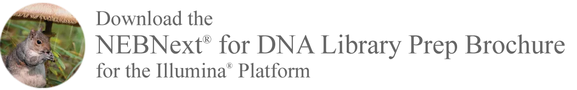 [Thumbnail] Download the NEBNext® for Library Prep Brochure for the Illumina® Platform