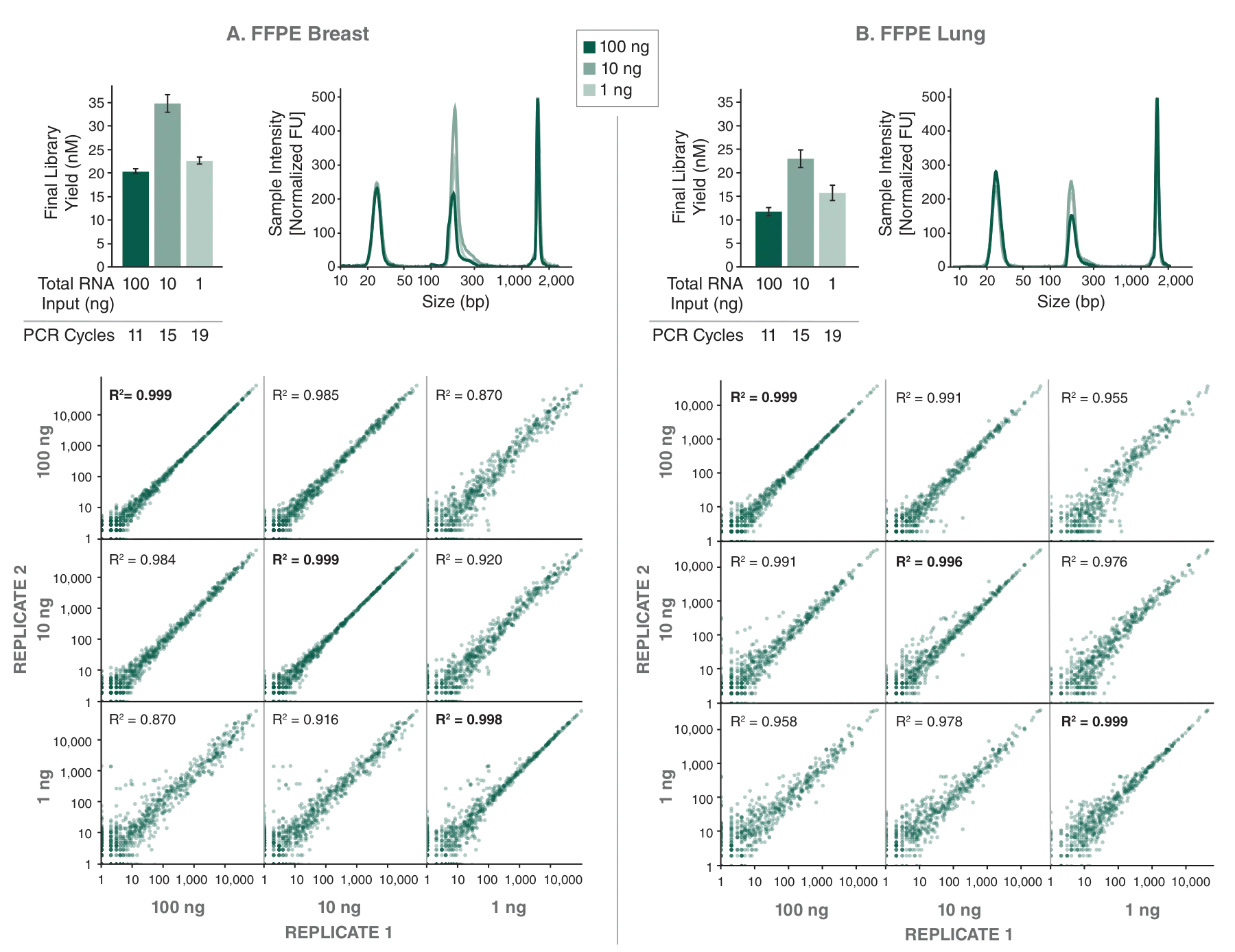 Data of FFPE Breast and FFPE Lung using the NEBNext Low-bias Small RNA Library Prep Kit