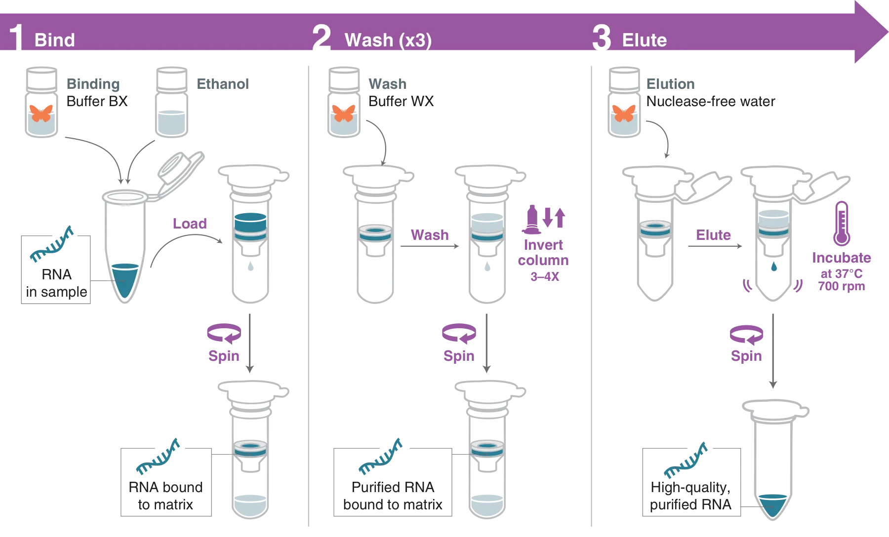 Monarch Spin High-Capacity RNA Cleanup Kit (3 mg) workflow