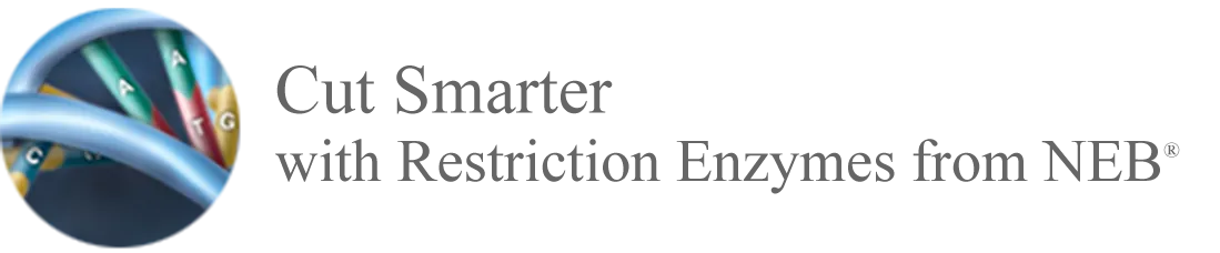 [DNA thumbnail] Cut Smarter with Restriction Enzymes from NEB®