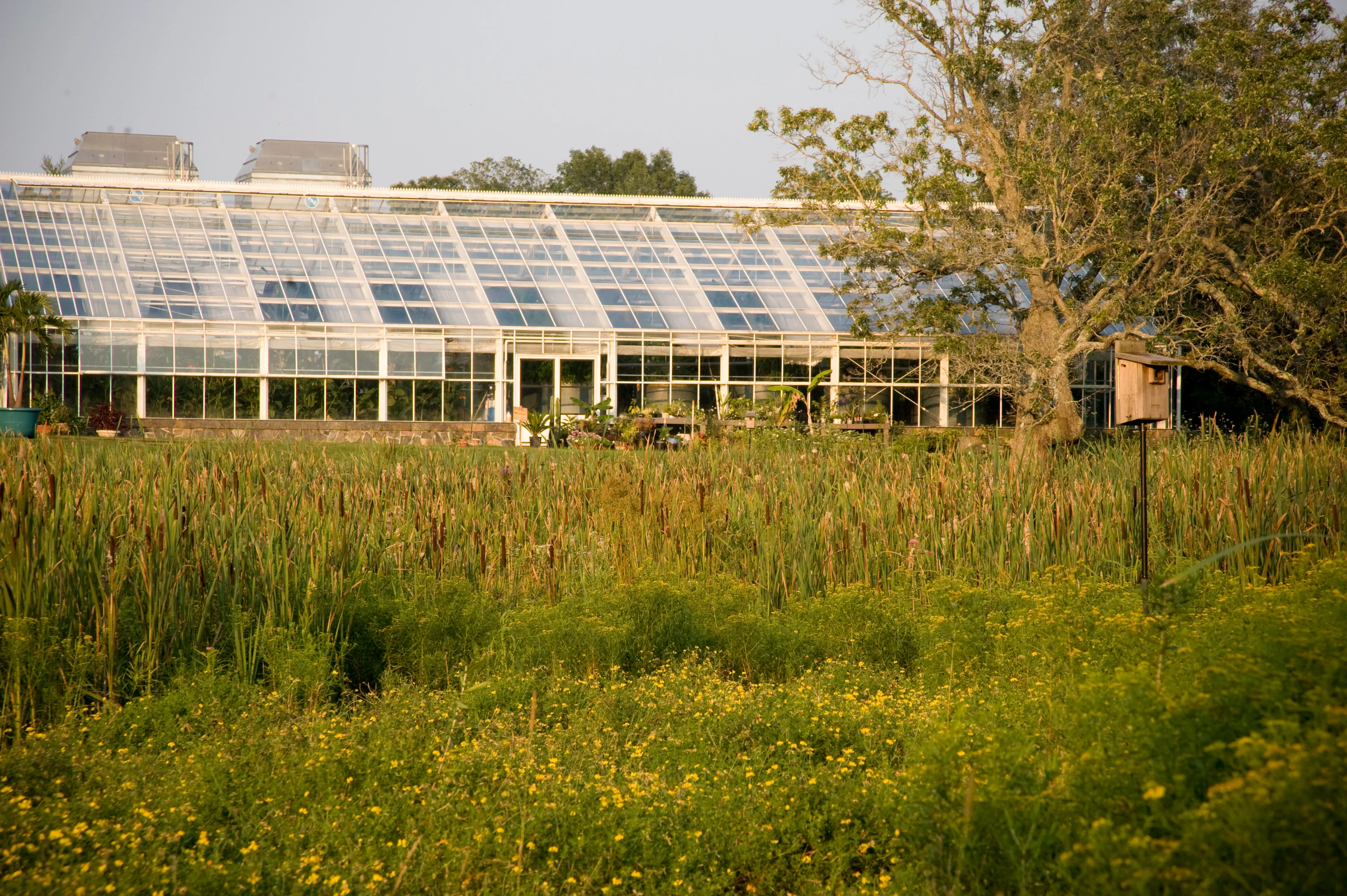 NEB's on-site Solar Aquatics Wastewater System