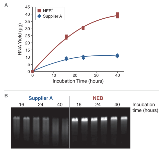 Line graph of RNA transcript yield versus incubation time and gel showing transcript integrity