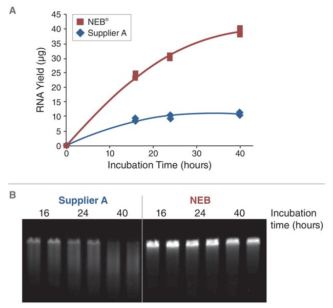 Line graph of RNA transcript yield versus incubation time and gel showing transcript integrity