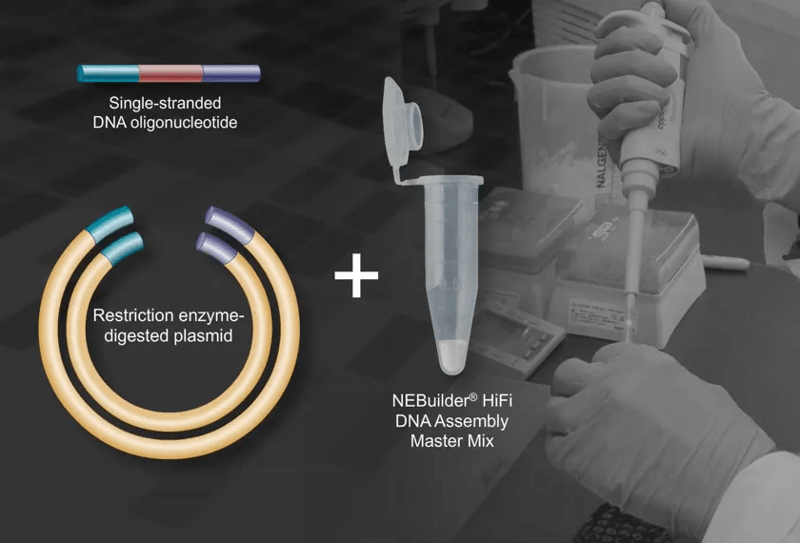 Find the Support You Need: Video Library, depicting screenshot from tutorial video