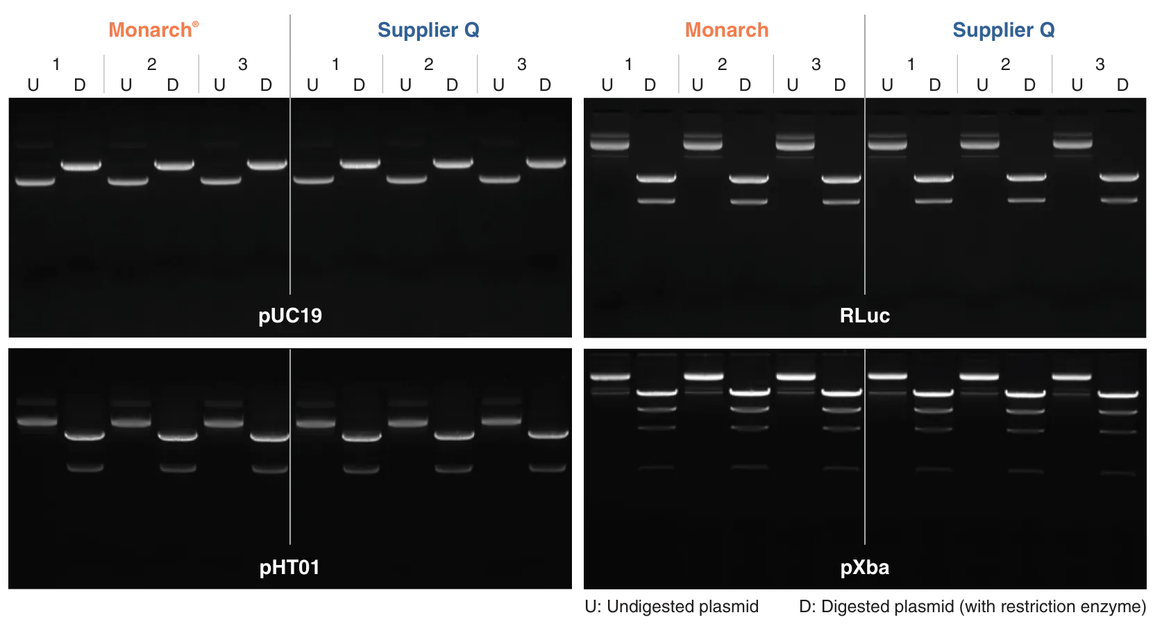 Gel photos showing high quality