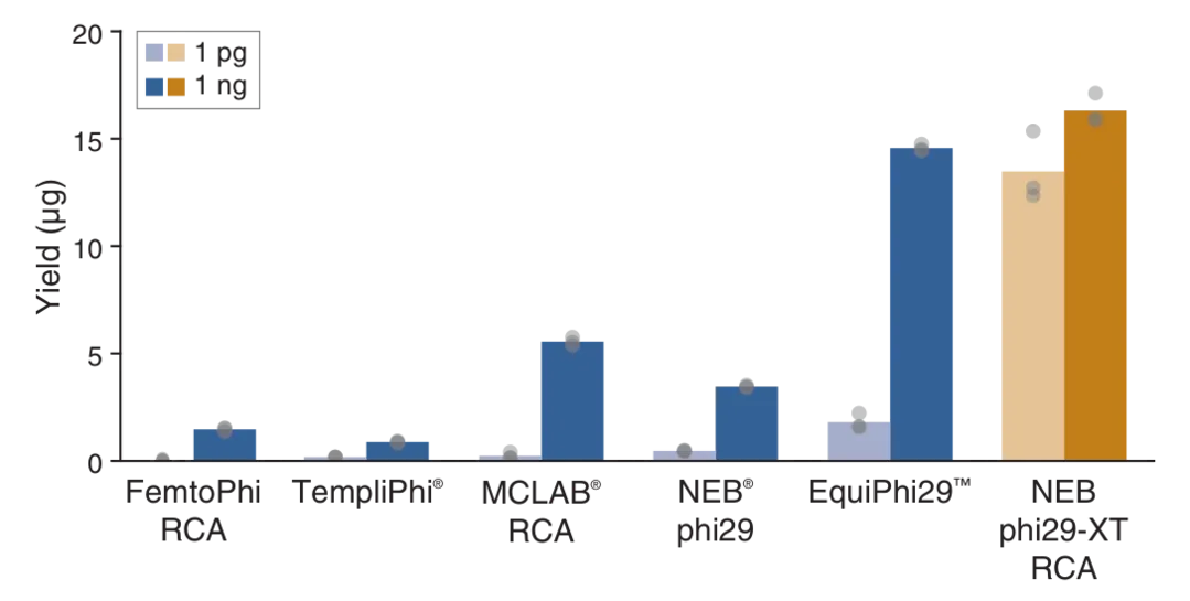 Bar graphic showing high sensitivity and yield with the phi29-XT RCA Kit