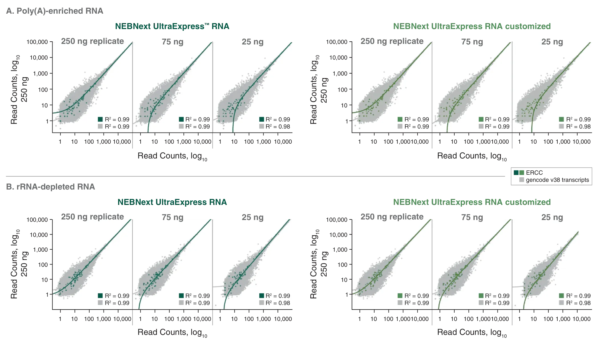 Plots showing RNA transcript correlation for NEBNext UltraExpress® RNA for poly(A)-enriched RNA and rRNA-depleted RNA