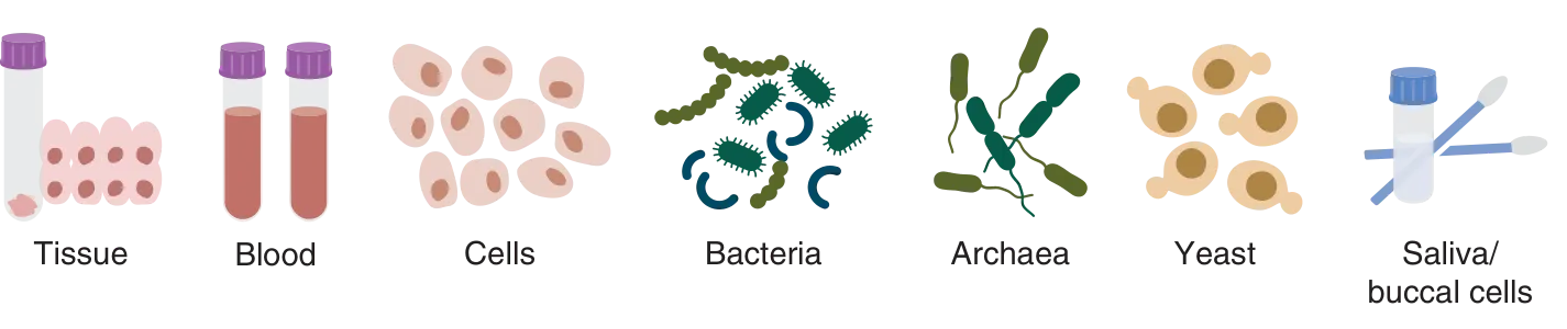 Illustration of tissue, blood, cells, bacteria, Archaea, yeast and saliva, buccal cell swabs, representing sample types for gDNA extraction nucleic acid purification