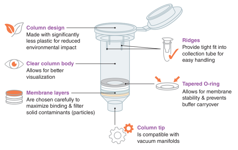 Column design for Monarch® Spin High-Capacity DNA Cleanup Kit