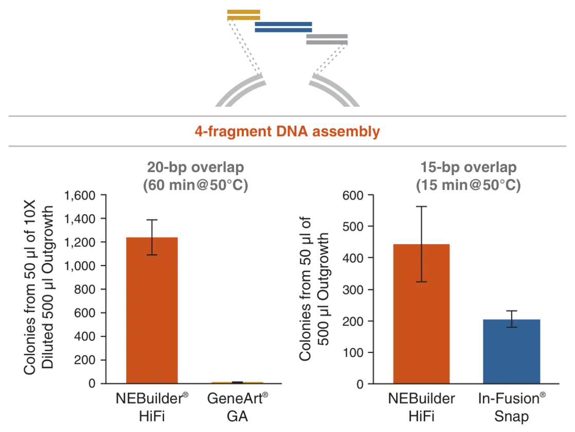 Two bar graphs showing 4-fragment DNA assembly for NEBuilder HiFi DNA Assembly