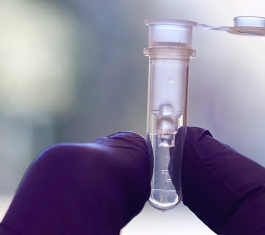 Closeup photo of gloved hand with HMW beads in a tube