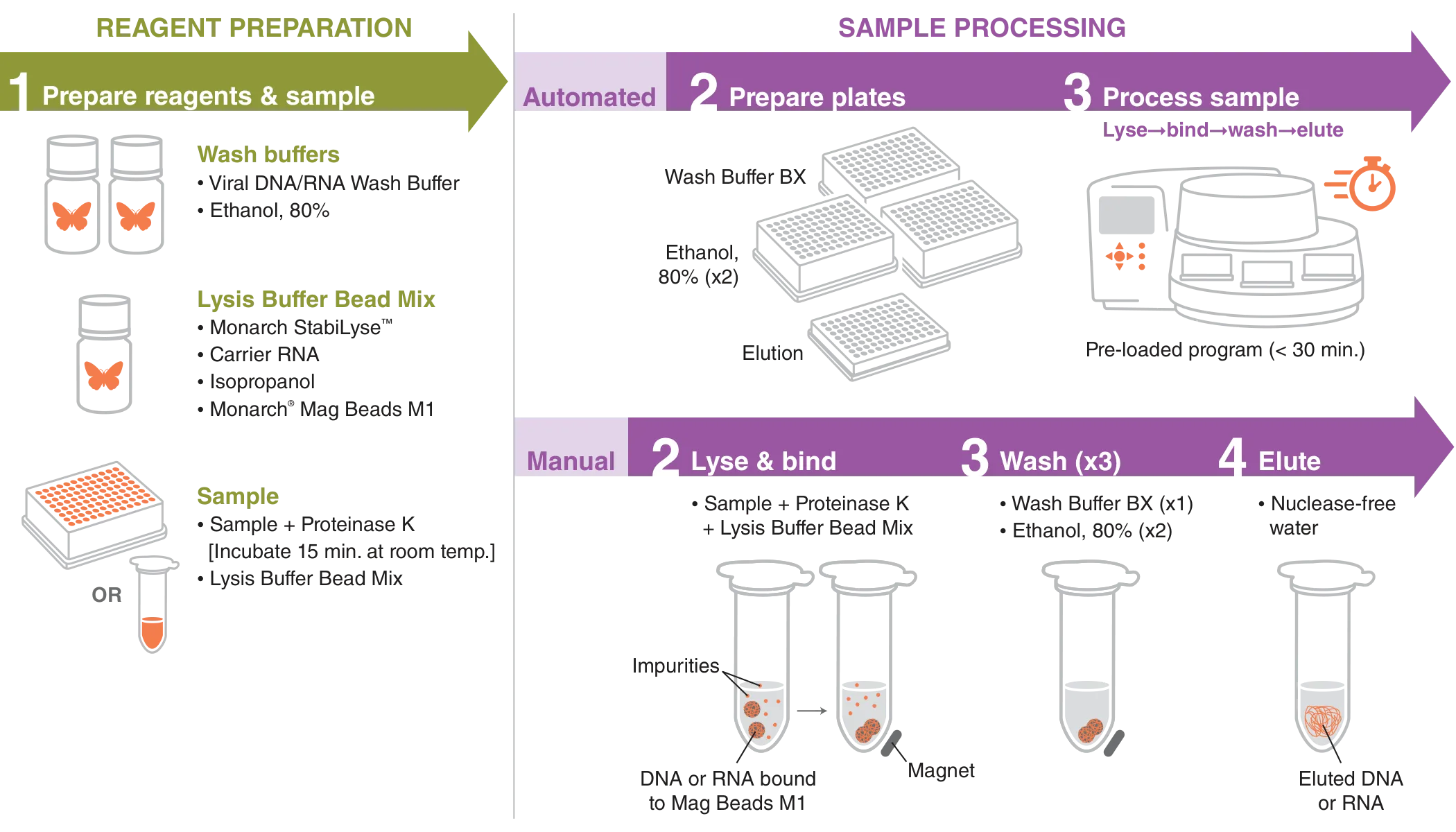 Infographic showing workflow