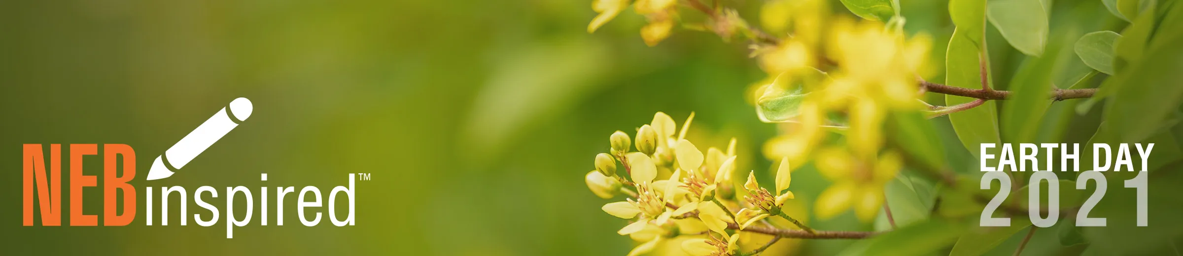 Closeup photo of yellow flowers to represent B Corp certification, with NEBinspired logo