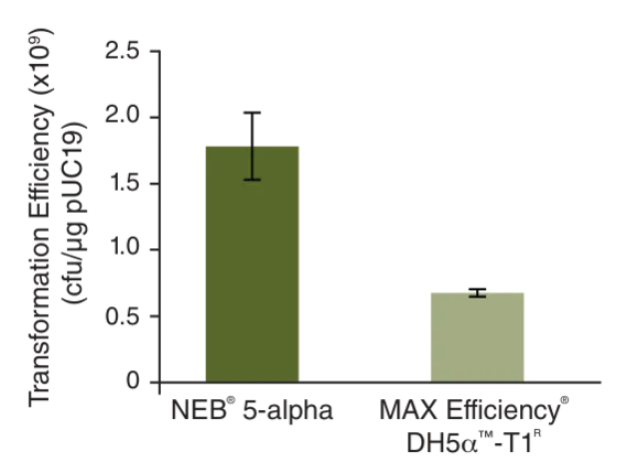 Bar graph comparing transformation efficiency of NEB 50-alpha with MAX Efficiency DH5α-T1