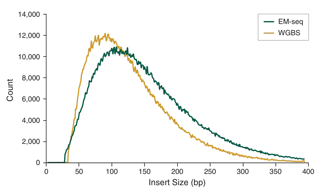 Line graph depicting insert size for NEBNext Enzymatic Methyl-seq libraries 