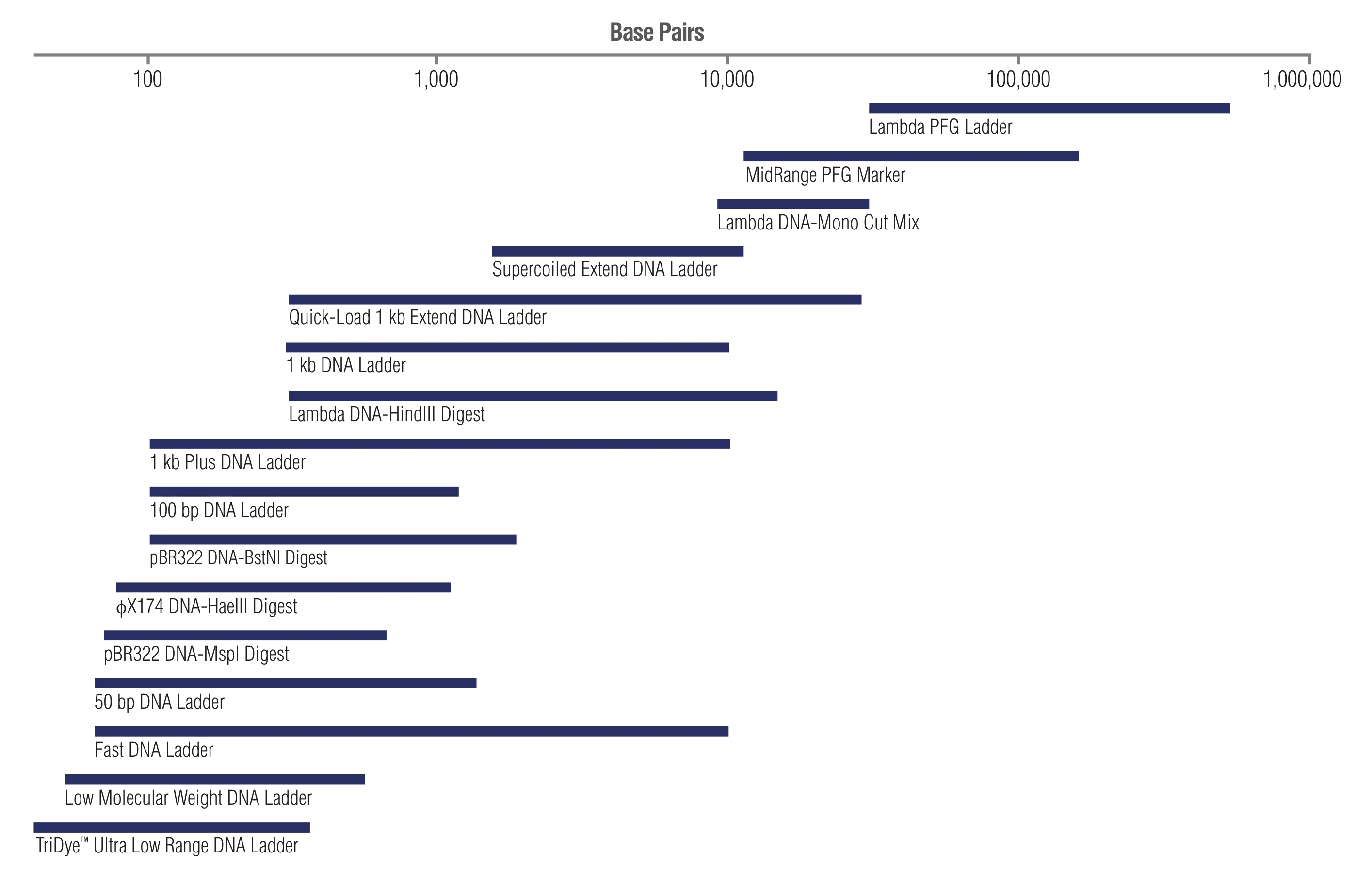 Diagram showing base pair range for NEB DNA Ladders