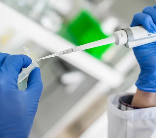 Closeup of gloved hands pipetting into tube