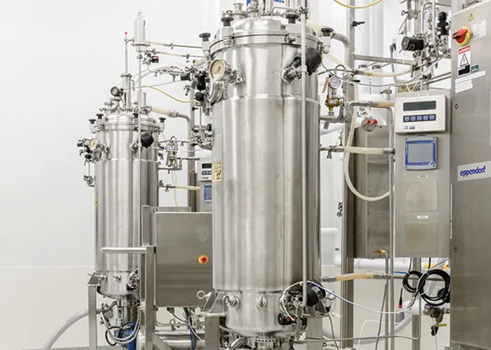 Photo of  fermenters