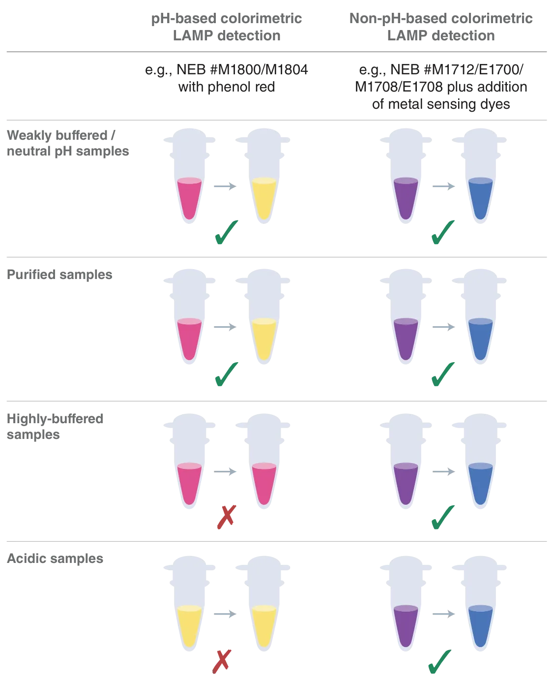 Graphic comparing features and advantages of LAMP versus pH-based colorimetric LAMP