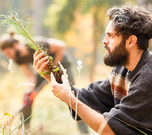 Photo of man holding a sapling to plant in a forest
