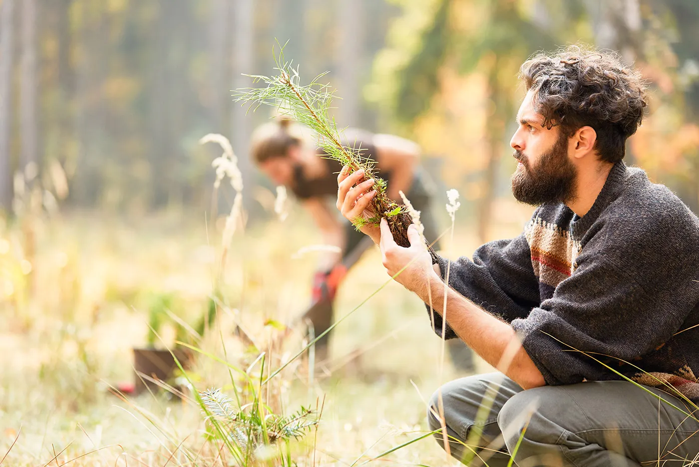 Photo of man holding a sapling to plant in a forest