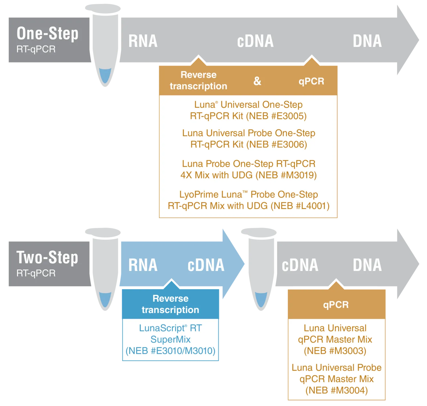 Infographic depicting one-step RT-qPCR as compared to two-step RT-qPCR