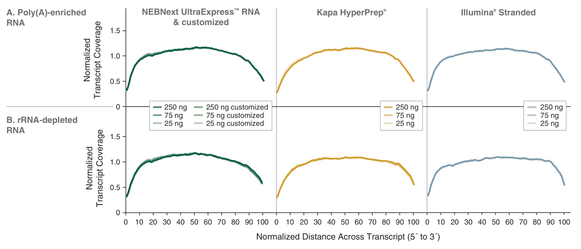 Line graphs showing transcript coverage for NEBNext UltraExpress® RNA
