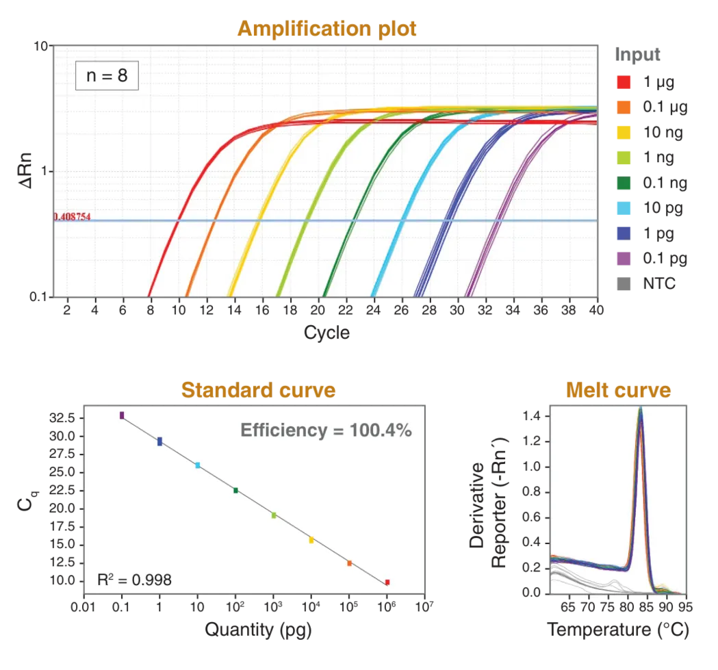 Amplification plot, standard curve and melt curve  showing sensitivity and reproducibility of performance